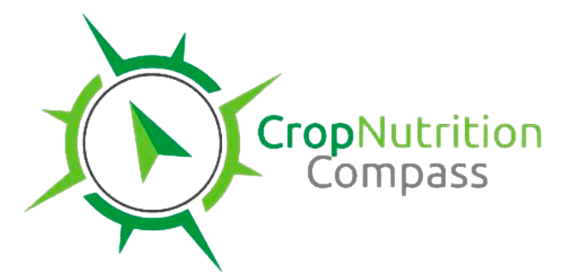 Logo Icon